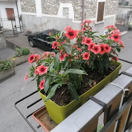 Casa Vacanze 'la Piazza' Zone